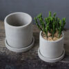Gray Cylindrical Plant Pots