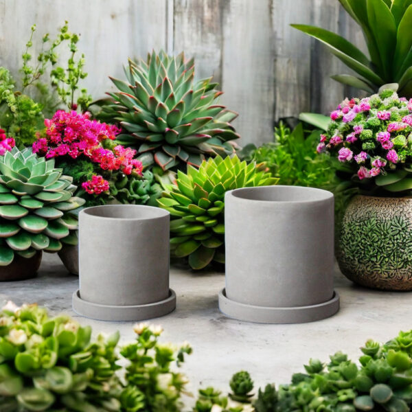 Gray Cylindrical Plant Pots