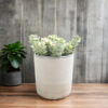 Gray Cylindrical Plant Pots